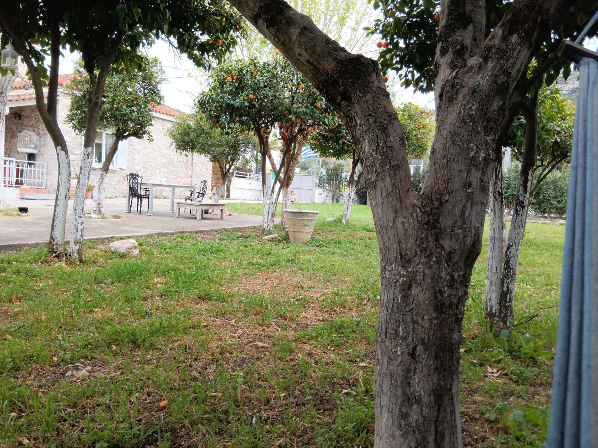Άθοσ Nafplio Exterior foto